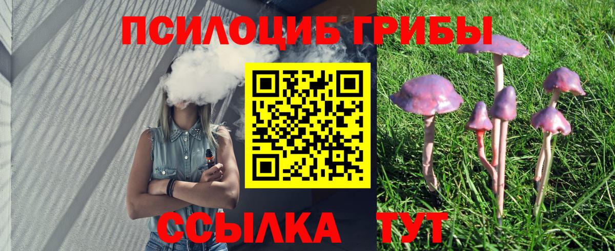 Псилоцибиновые грибы Psilocybine cubensis Кстово