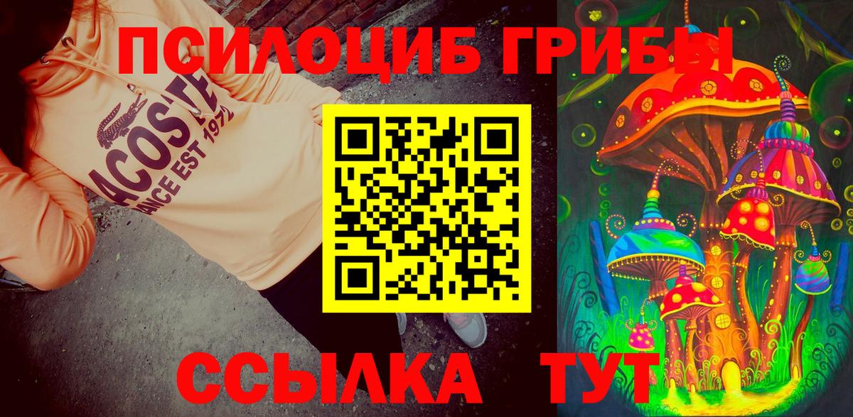 Кстово  Галлюциногенные грибы Magic Shrooms  Галлюциногенные грибы ЛСД  Вход с VPN 